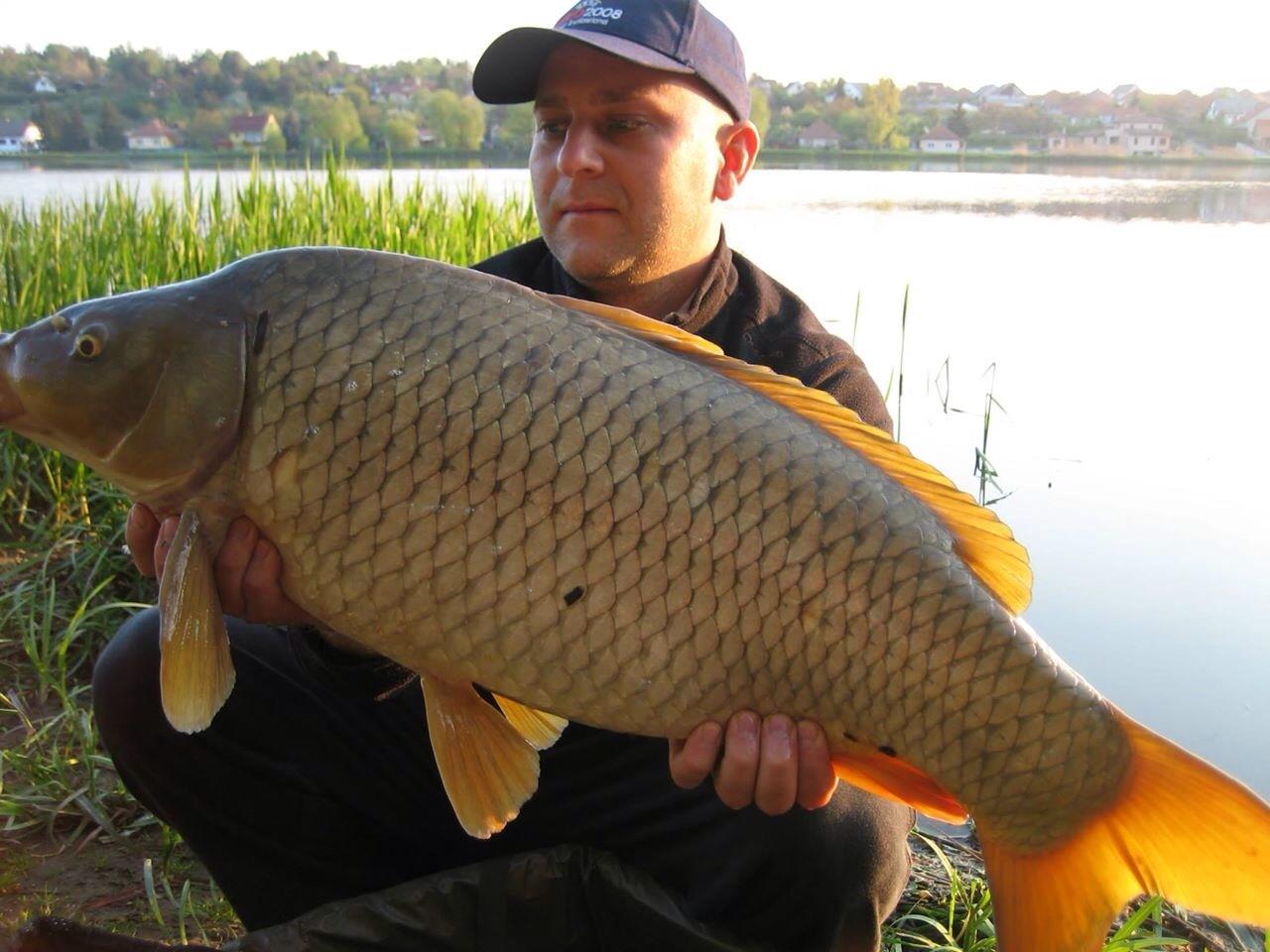 Pescuit Sportiv - Harsany.....